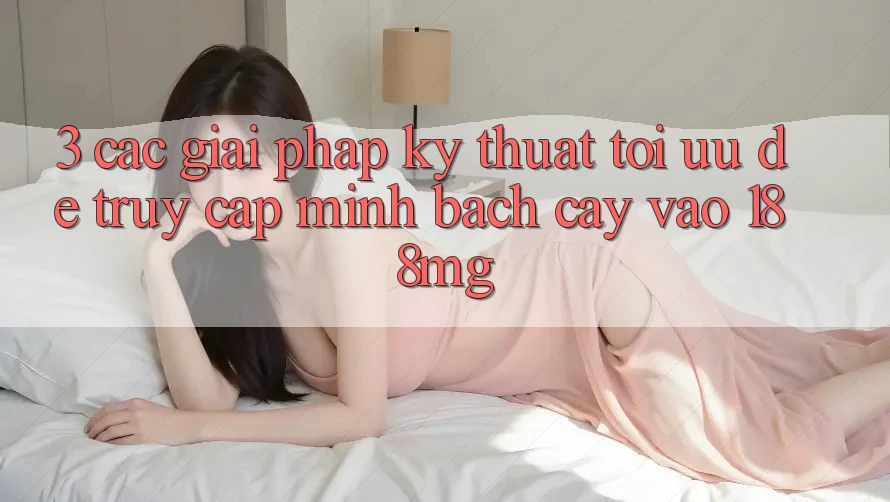 3. Các giải pháp kỹ thuật tối ưu để truy cập minh bạch cậy vào 188mg