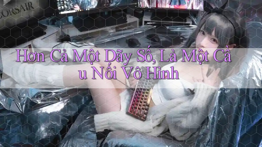 Hơn Cả Một Dãy Số, Là Một Cầu Nối Vô Hình
