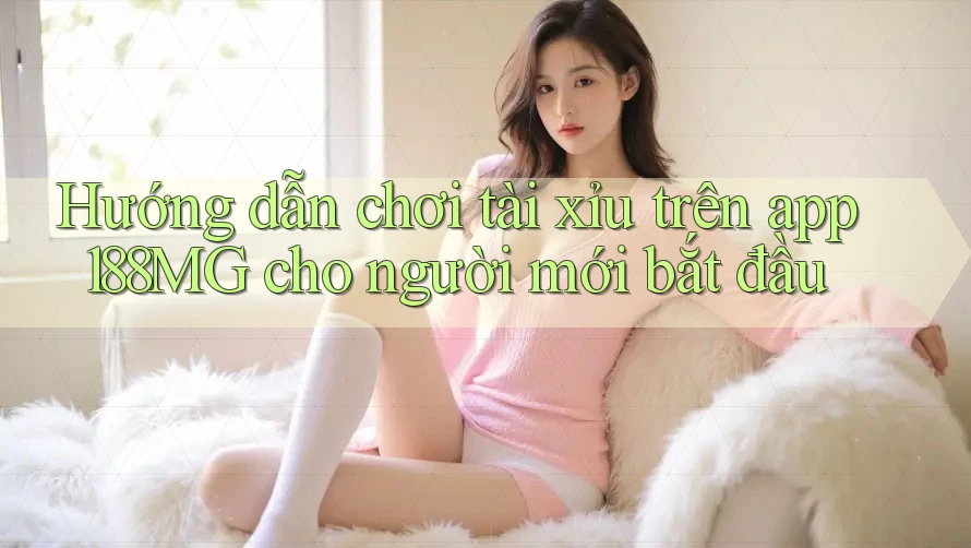 Hướng dẫn chơi tài xỉu trên app 188MG cho người mới bắt đầu