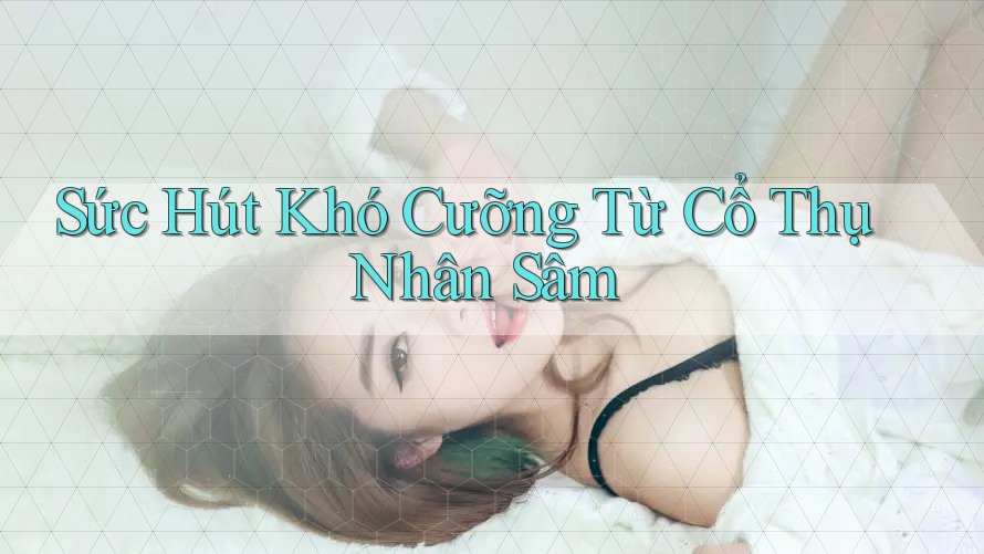 Sức Hút Khó Cưỡng Từ Cổ Thụ Nhân Sâm