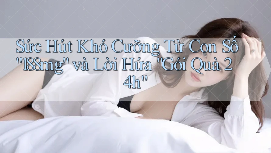 Sức Hút Khó Cưỡng Từ Con Số “188mg” và Lời Hứa “Gói Quà 24h”